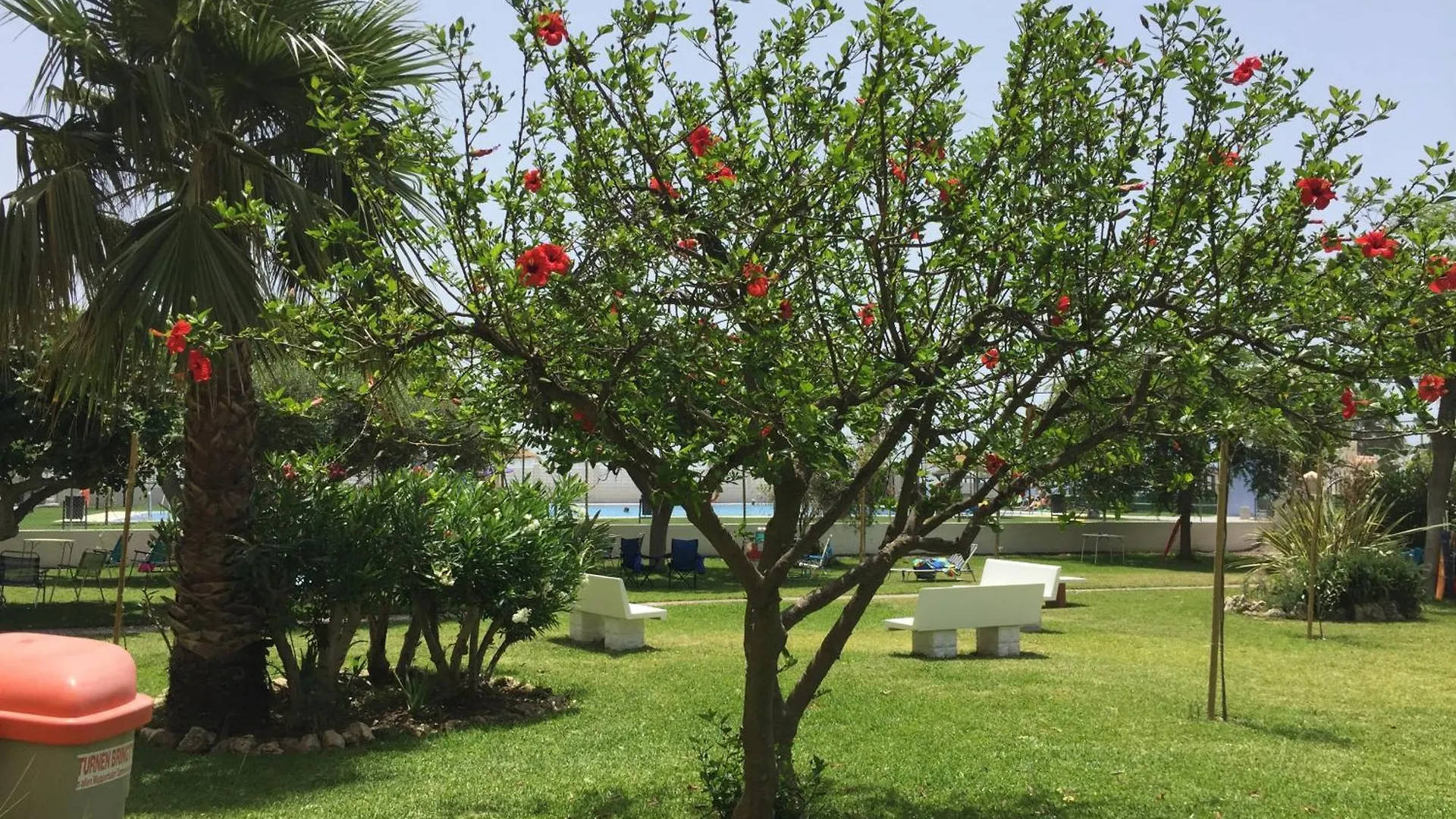 Appartement Apartamento Frente Al Mar Algarrobo Costa
