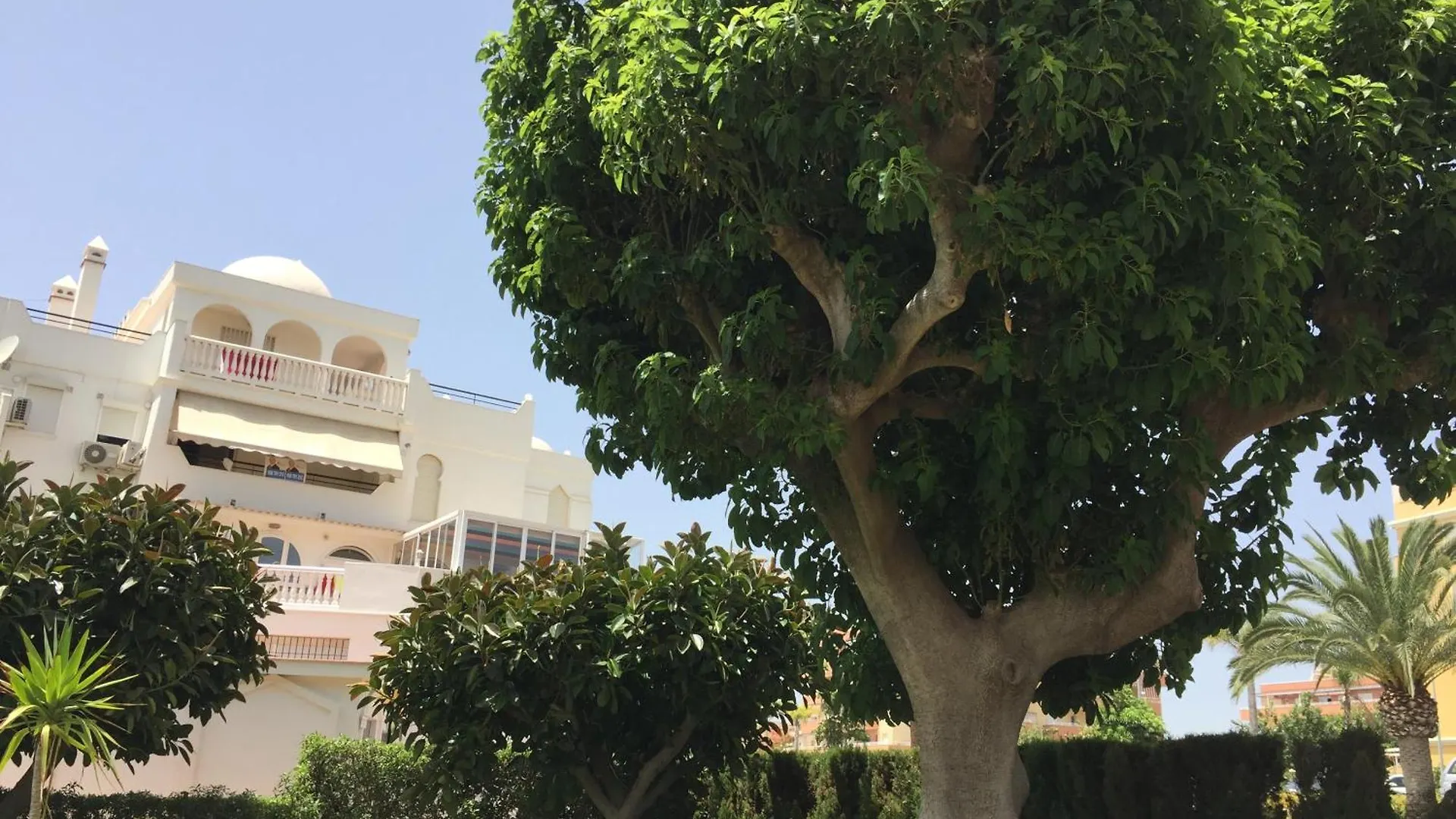 Apartamento Frente Al Mar Algarrobo Costa Daire
